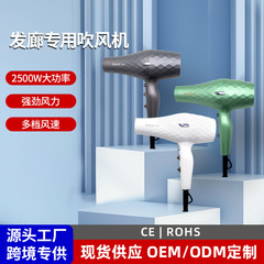 クロスボーダーヘアドライヤー 2500W ハイパワー美容院ヘアドライヤー強風速乾高速家庭用ヘアドライヤー