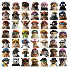 �¿�羳50������ɐۄ����ī�R����PET͸���N��ˮ���b�ˮ�N