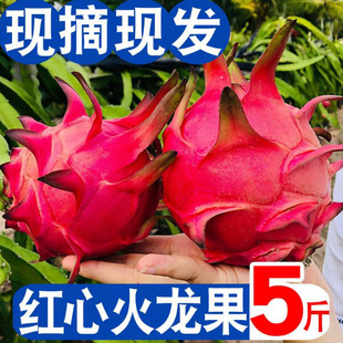 �������t�����rˮ��5�ﮔ�����亣�Ͻ�һ̖�t������C�������