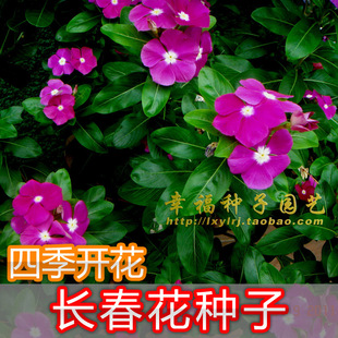 ���L�����N�ӡ����Ի��ܷN�� ��ș�ݽ�K�� ���մ� ������ ���^�t