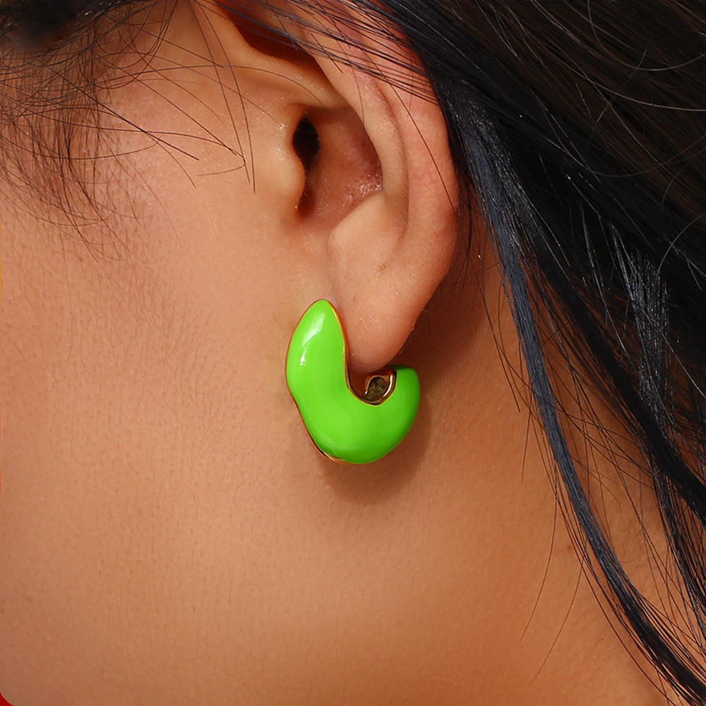 Fashion Geometric Stainless Steel Enamel Earrings 1 Pair