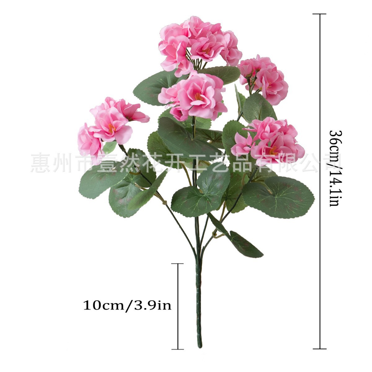 분홍색 보라색