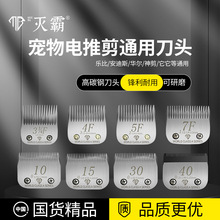 �������l����Ƽ�����ë���^ͨ��LB�����A������˹ԭ�b��ë���^