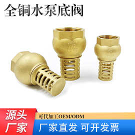 黄铜底阀抽水泵止回底阀玉环厂家可定外贸NPT螺纹弹簧止逆阀底阀