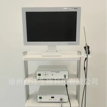 ǺȸQRϵyǺǃRzϵytÃȸQRzϵy