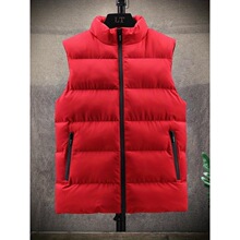 N 35731 Trendy Sleeves Vest Jacket ������������ ����
