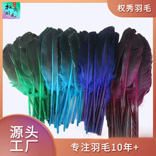 灰刀翎羽毛彩色羽毛鹅毛DIY饰品工艺品羽毛笔装饰材料长约22-28cm
