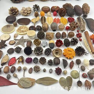 ��Ȼ���Ә˱�����}�Q���h�ֹ��ɻ��ɹ��׃��@�b��diy���ϰ�