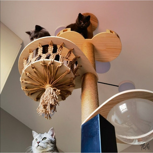 ����؈����diy����DIY؈��ɢ����ʽ�������̫��œ��ľ�����؈��