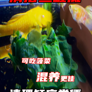 �����~���~�Ꭷ�^�p�~С���������׳��幤���~��ˮ�����~