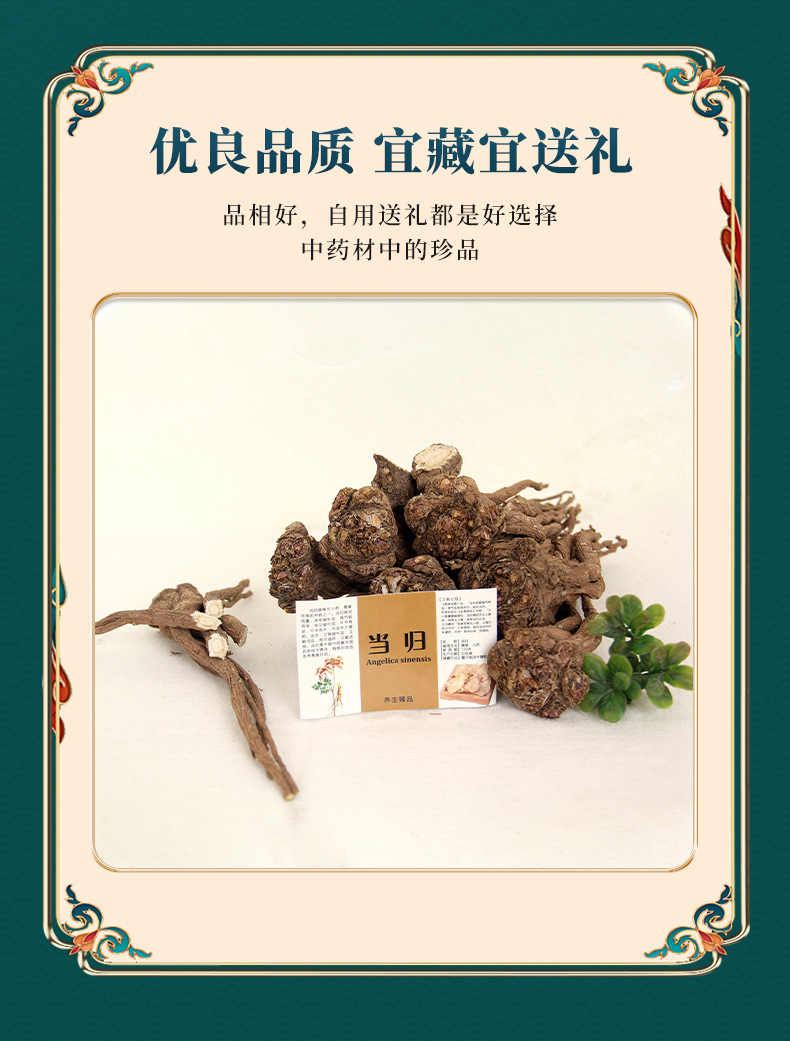 Mianxian Authentic Sulfur-Free Sun-Dried Angelica Slices, Gansu Angelica Chinese Herbal Medicine Slices, Whole Angelica Slices detail image