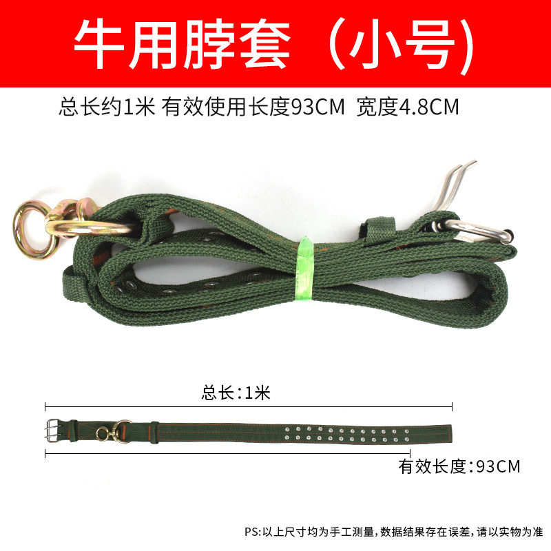 Cabeza de jaula de buey, cuello de buey, cuello de buey