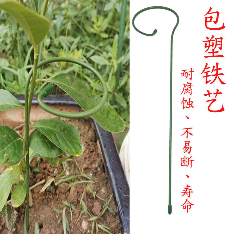 微信图片_202108061011222