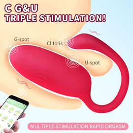 震动棒;仿真阳具;其他情趣用品