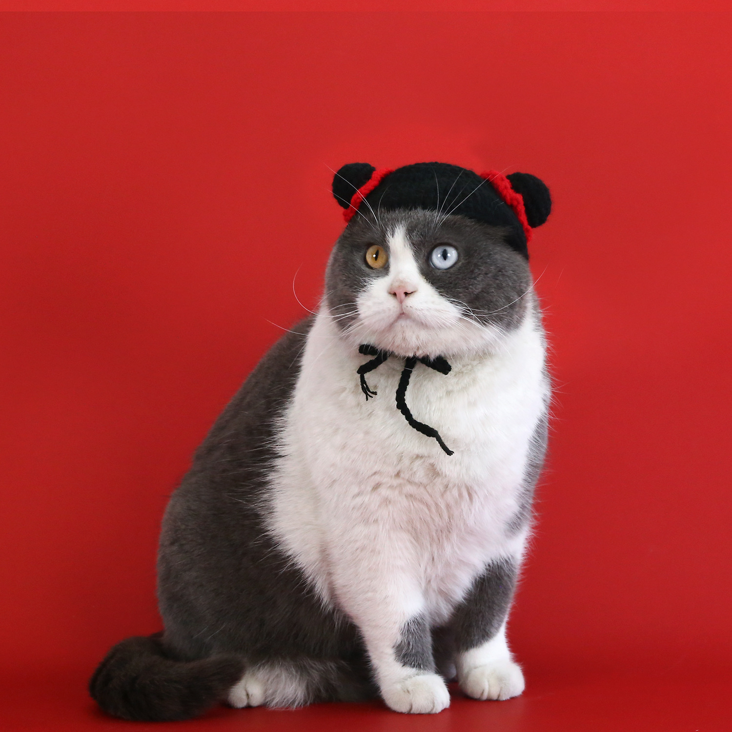 Gancho de mano de lana para mascotas Nezha gorra para gatos perros Teddy Bear adorable accesorios de tocado de dibujos animados para mantenerse caliente image 2