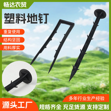 ���ϵ�ᔷ��ݲ���ꖾW�̶�ᔴ�����ҵ�Ĥᔳ��ݲ���ᔵ����