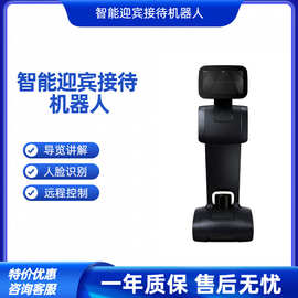 云智星智能迎宾机器人展厅接待讲解服务带路引领商用服务AI机器人