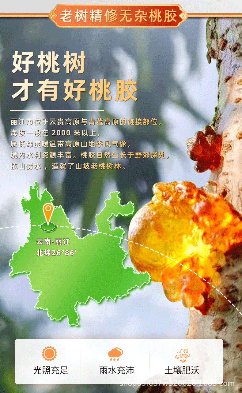 Peach Gum Tao Jiao 桃胶 Natural Edible Resin Large Granules Cleaned 500g for Sweet Soups and Desserts key features