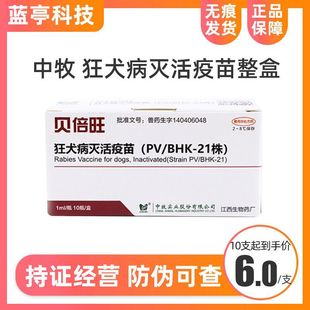 ����Ȯ؈��Ȯ�����������aȮ����С�����猙�ﹷ���繷