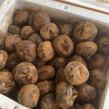 �����R��V���خa�ԷNݩ�j�����F��ˮ�������֭�����߲ˑ���ˮ��