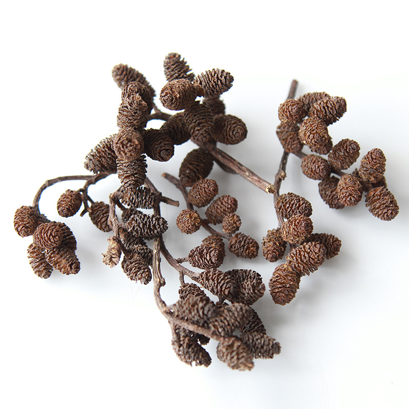 Màu cơ bản của quả mướp đông 20g một hộp