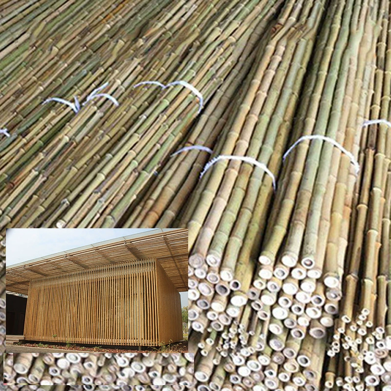 Бамбуковый столб для украшения сада 10 м украшение двора бамбуковый столб Nanzhu антикоррозийный, устойчивый к насекомым бамбуковый городок Anji