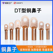 DT铜鼻子线鼻国标加厚紫铜镀锡线端子堵油线耳6//5/5平方