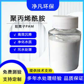 聚丙烯酰胺pam阳离子酰胺混凝剂工业絮凝剂养殖洗砂废水处理