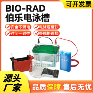 First-Class Agent for American Bio-Rad Small Vertical Electrophoresis Tank Electrophoresis Instrument Vertical Electrophoresis Tank Transfer Tank
