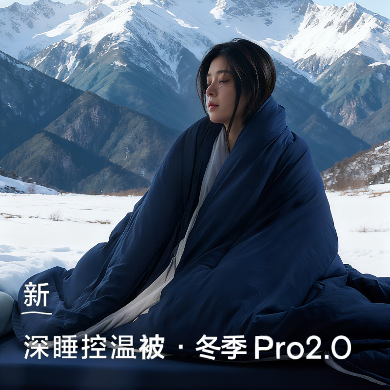 A Certain Hotel Duvet Deep Sleep Quilt Pro2.0 Double Quilt Temperature-Controlled Quilt Without Cover Spring Autumn Winter Quilt Bedding