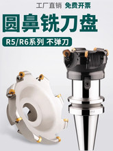 �ӹ�����EMRW/EMR�A����㊵��P��浶�^R5/R6㊵��b�A��Ƭ�_�ֈA