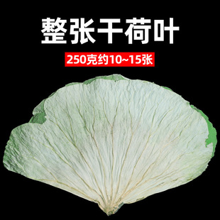 ���~�������rŴ���u�л��u�S�����~Ƭ����ĸɺ��~���l��؛��؛