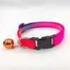 Colorful choker, small bell, pet, cat