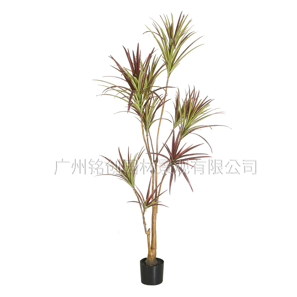 Simulación Árbol de sangre de dragón Simulación de madera de mil años Plantas verdes Plantas en macetas Decoración de interiores Simulación Árbol de hierro de sangre de dragón Simulación Árbol artificial Plantas verdes falsas