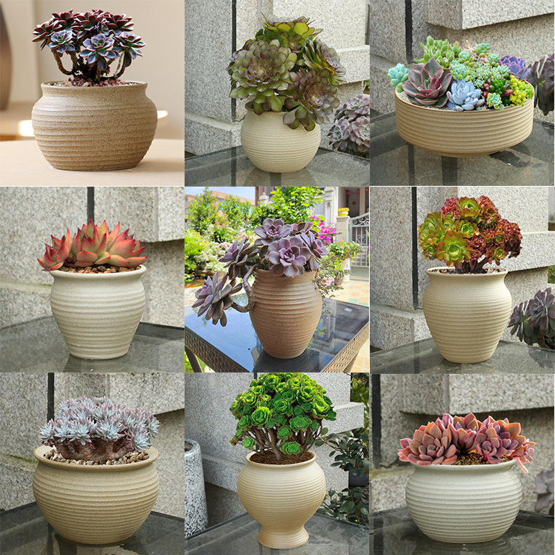 素烧多肉花盆大号粗陶透气复古老桩土陶瓦泥盆创意植物陶瓷盆