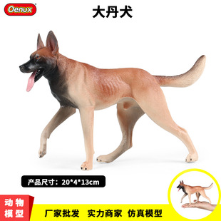 ���挍��Ұ������ģ�͹����RȮ��Ȯ����Ȯ��ëȮ��ͯ��ߔ[��