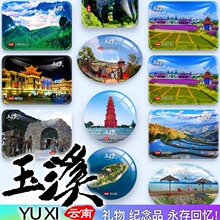 云南玉溪抚仙湖月亮湾哀牢山石门峡禄充茶马古道礼物纪念品冰箱贴