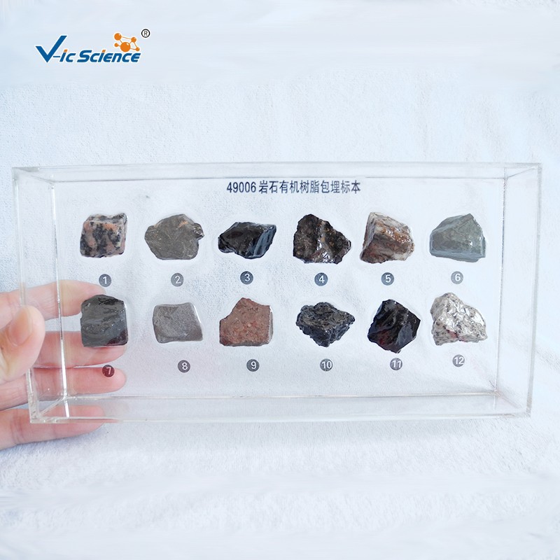 49006 岩石空心包埋标本  新型有机树脂包埋 大纲配套教学仪器