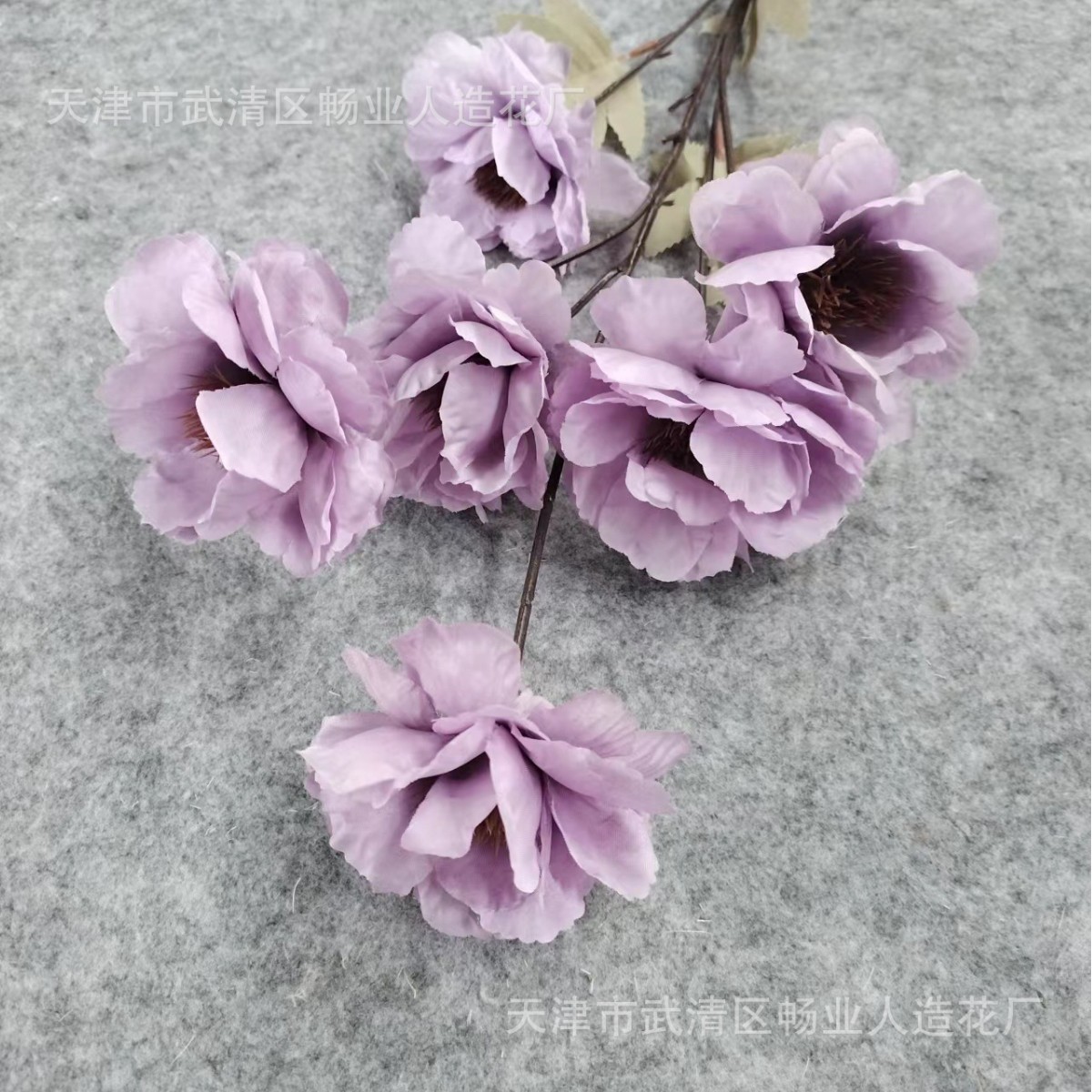 6 Gardenia