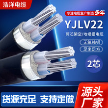 | X|YJLV22-2*10ƽ늉0.6/1KV2оzb