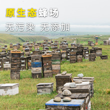 �½���ɽѩ�ۏS��ֱ���F؛����ă��r���Ԯa�����ۼ�����Ȼ����