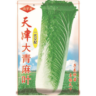 �߲˷N���T�����N�I�S��ֱ�����������ش���ˈ@��������