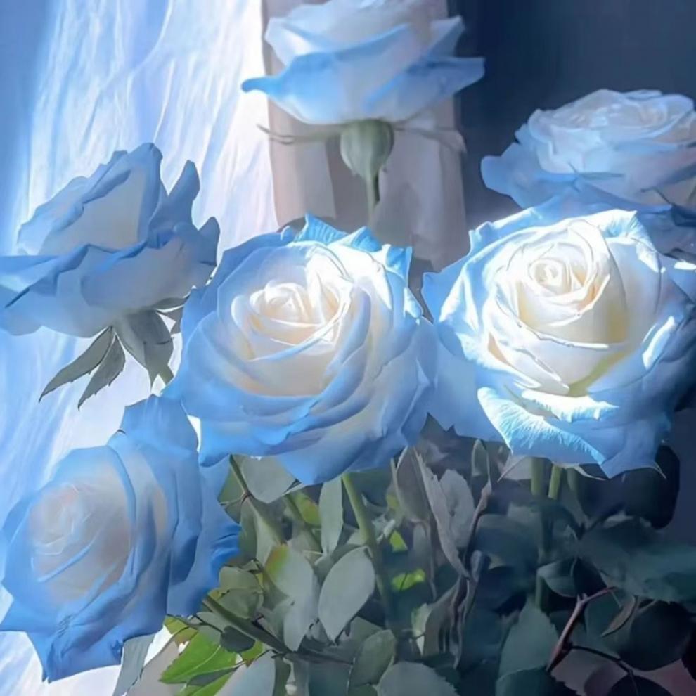 facfe3da-af82-4e59-88cd-724268eaa1a2.jpe