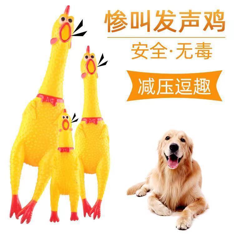 Pet Dog Toys Bite-Resistant Enamel Screaming Chicken Screaming Chicken Safe Non-Toxic Decompression Sound Toys and Supplies Wholesale Pet Dog Toys Bite-Resistant Enamel Screaming Chicken Screaming Chicken Safe Non-Toxic Decompression Sound Toys and Supplies Wholesale