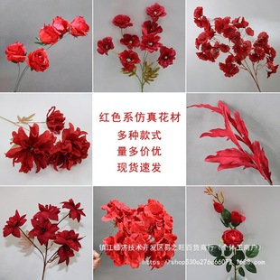��c��Y�ý�����픻�����ʽ�tɫ��ˇ��tˇ��ĵ��õ���ٲ�����ɫ