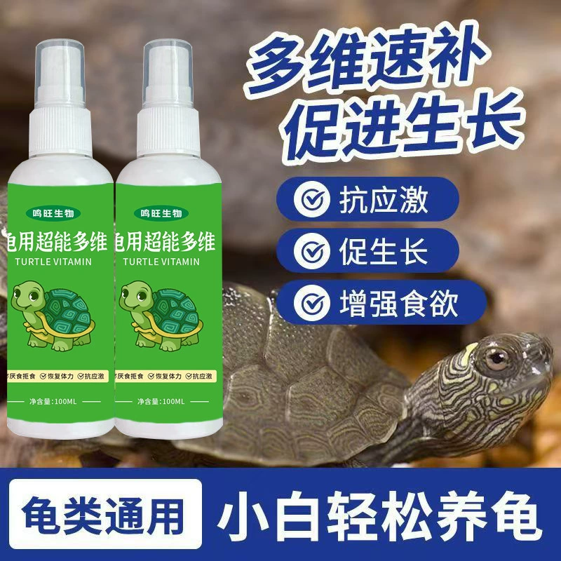 Черепаха не умна и не ест в спячке