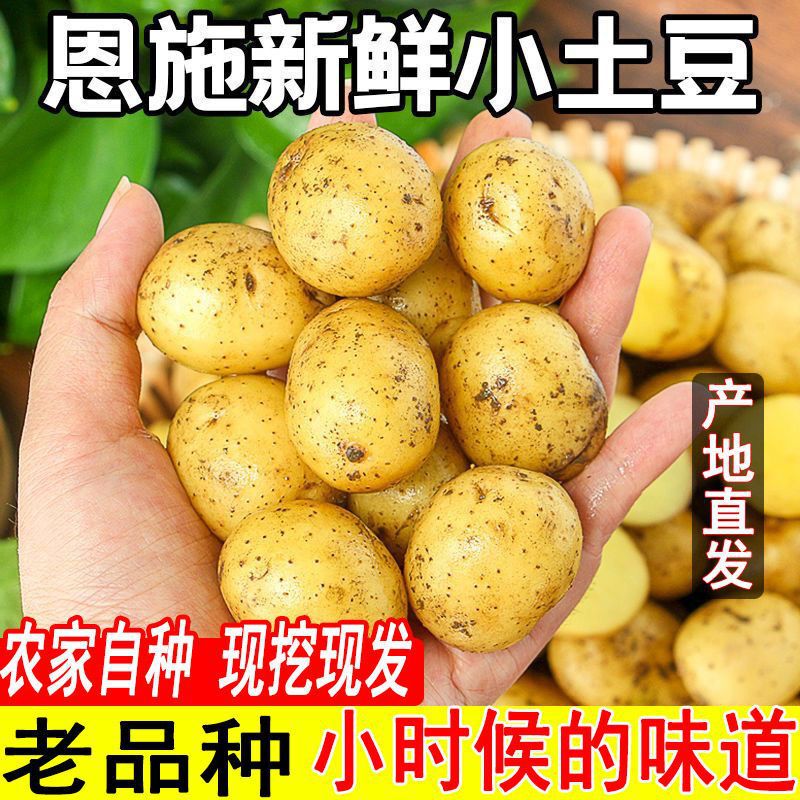 Hubei High Mountain Small Potatoes, Fresh Potatoes, Enshi Marco Self-Grown Yellow-Core Potatoes, Soft and Glutinous Old Variety