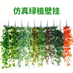 ���泣���ٗl�G�}���m�ұڒ�پGֲ��t���K���ј��~�������ϻ��@
