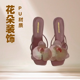 �W�t����ɳ����Ь�W��2026���¿���bAֺ�߸���ЬŮ���⴩��