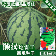 ϷNˮN߲˷Nl˷NѷNӹ˾